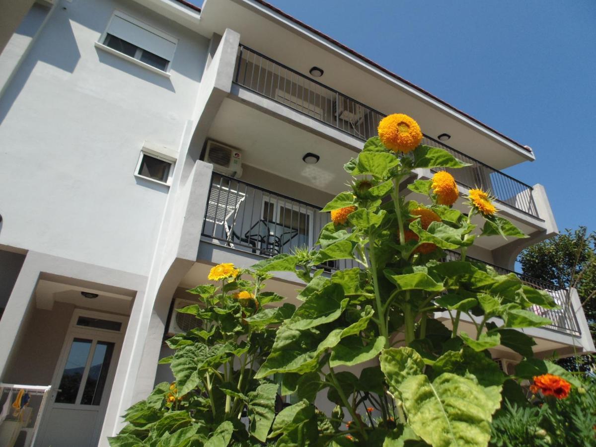 Apartments Macaso Bar Luaran gambar