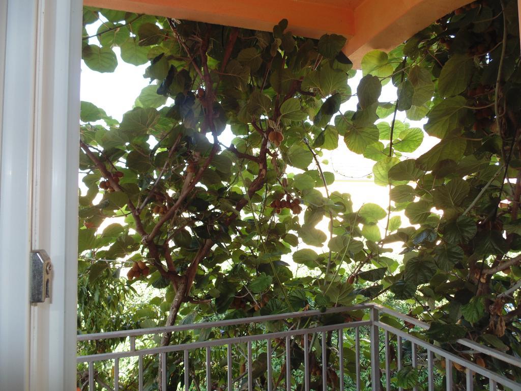 Apartments Macaso Bar Luaran gambar